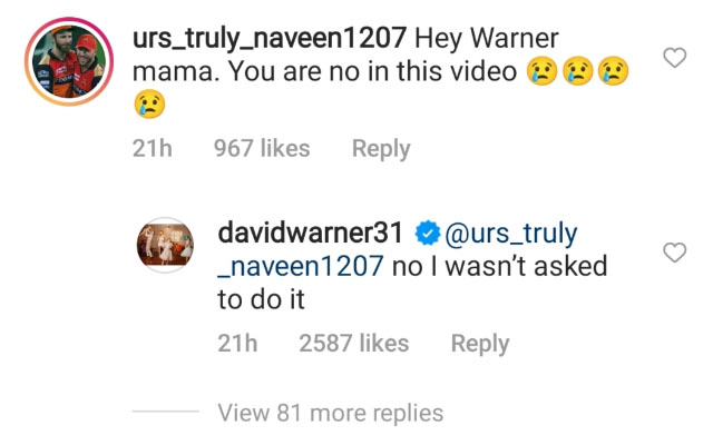 David Warner comment. (Photo Source: Instagram)
