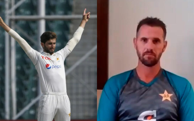 Shaheen Afridi and Shaun Tait (Image Source: Twitter)