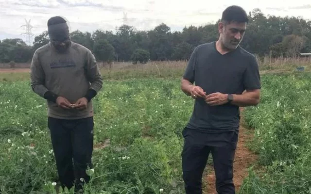 MS Dhoni in farm (Photo Source: Twitter)