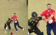 Matthew Wade and Mark Wood (Image Source: Twitter)