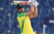 Marcus Stoinis (Image Source: Getty Images)