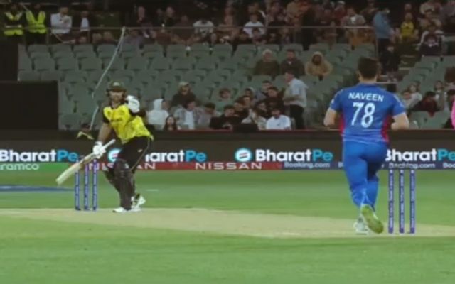 Glenn Maxwell and Naveen-ul-Haq Australia vs Afghanistan (Image Credit- Twitter) 