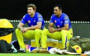 Shane Watson MS Dhoni (Photo Source: Twitter)