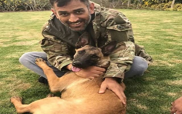 MS Dhoni (Pic Source-Twitter)
