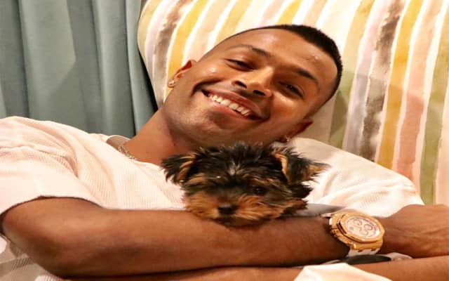 Hardik Pandya (Pic Source-Twitter)