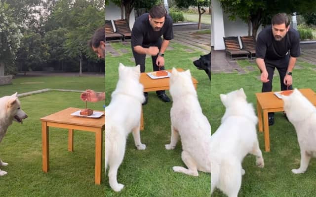 Dhoni (Image Credit- Instagram)