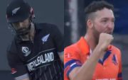 NZ vs NED (Pic Source-Twitter)