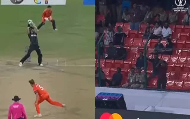NZ vs NED (Pic Source-Twitter)