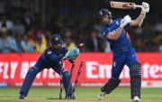 cricket buzz social media trends