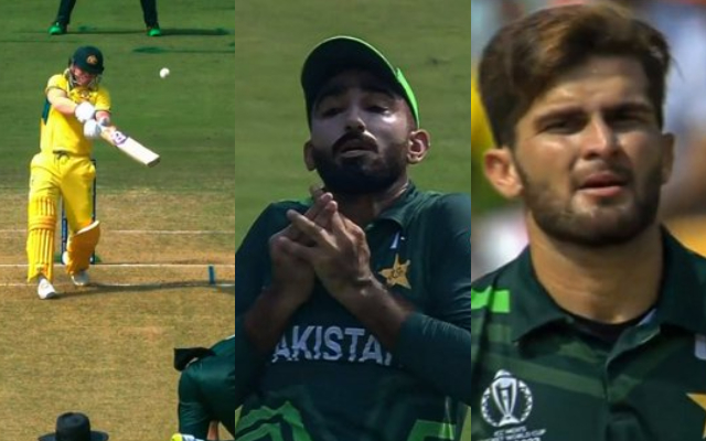 Australia vs Pakistan (Image Credit- Twitter)