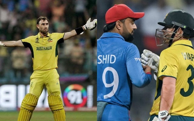 Glenn Maxwell, David Warner and Rashid Khan. (Image Source: Getty Images)