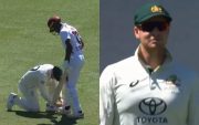 AUS vs WI (Pic Source-Twitter)