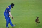 Hardik Pandya, IPL 2024 (Photo Source: X)