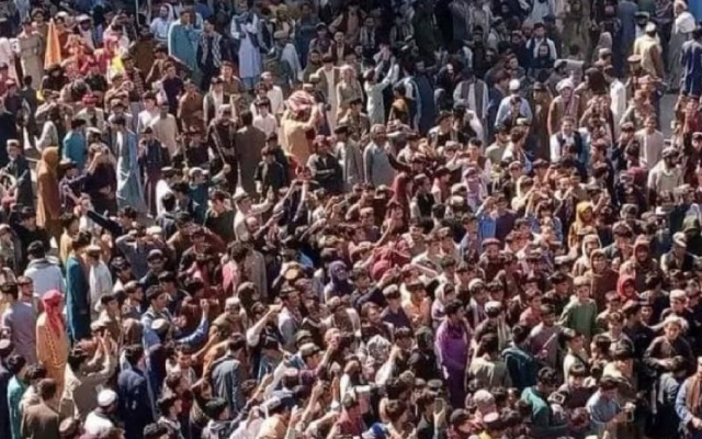 Afghanistan Fans (Pic Source-X)