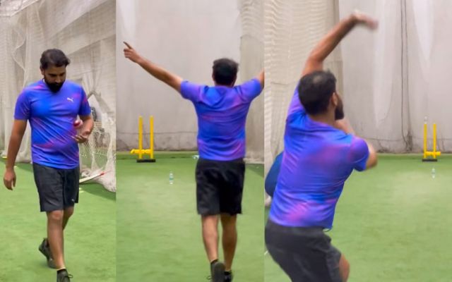 Shami (Image Credit- Instagram)