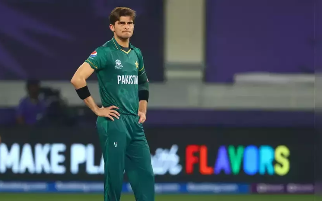 Shaheen Afridi (Image Credit- Twitter X) 
