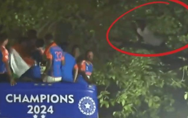 Fan climbs tree (Image Credit- Twitter X)