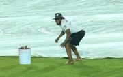 CPL 2024 Ground Staff Dance went viral (Source X)