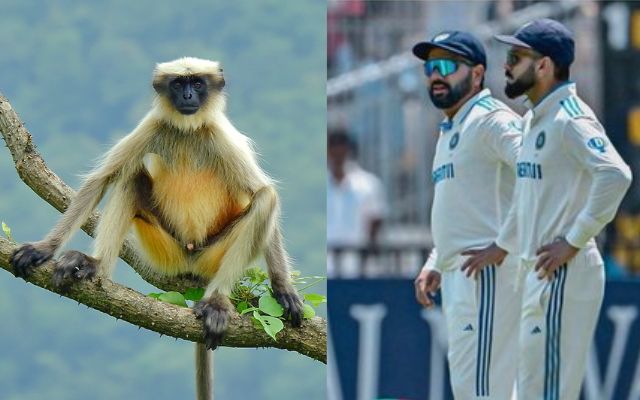 India vs Bangladesh, 2nd Test (Image Credit- Twitter X) 