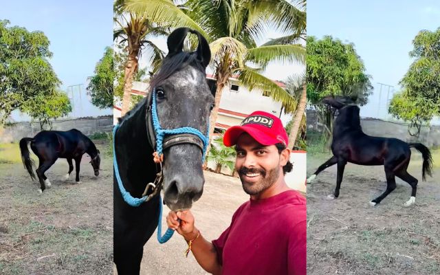 Ravindra Jadeja (Image Credit- Instagram)