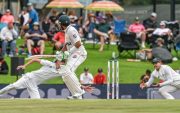 South Africa vs Pakistan, 2nd Test (Image Credit- Twitter X)