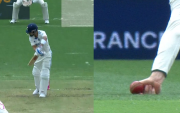 Virat Kohli Steve Smith Catch (Photo Source: X)