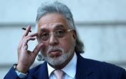 Vijay Mallya Reacts as RCB Storm Into Second Consecutive IPL Final (image via X)