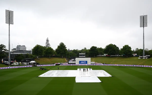 Hamilton Seddon Park (Image Credit- Twitter X)