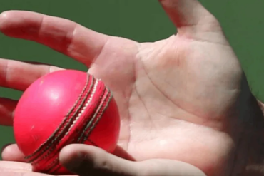 The Pink Ball (Image credit Twitter - X)