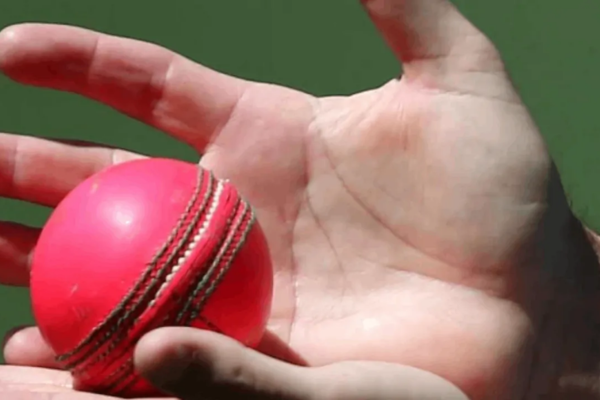 The Pink Ball (Image credit Twitter - X) 